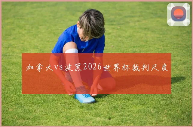 加拿大vs波黑2026世界杯裁判尺度