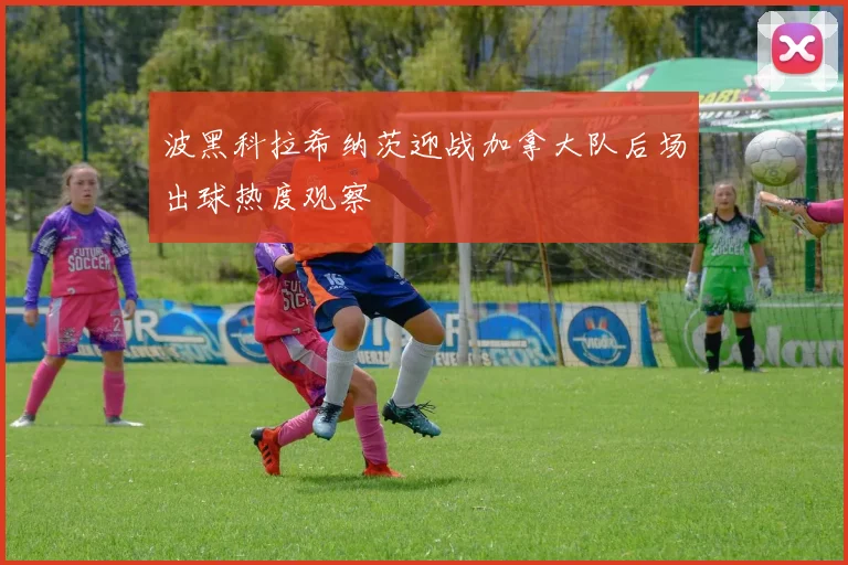波黑科拉希纳茨迎战加拿大队后场出球热度观察