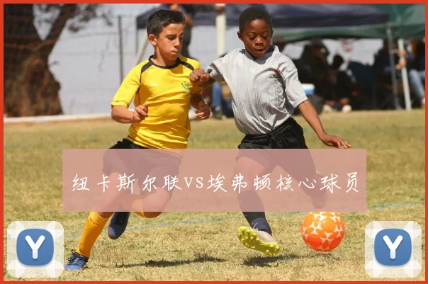 纽卡斯尔联vs埃弗顿核心球员
