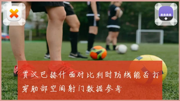 贾汉巴赫什面对比利时防线能否打穿肋部空间射门数据参考